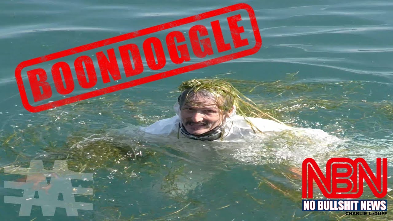 Swimming in Sewage Under the Gordie Howe Bridge